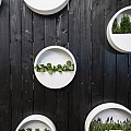 Pottery Pots plantenbak Wally (hanging) S Matte White (øxh) 40x9 cm. ~