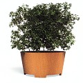 Konische CorTen plantenbak met pootjes