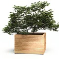 Vierkante rhombus Garapa hardhouten plantenbak