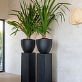 Pottery Pots plantenbak Jesslyn S Black (øxh) 50x44 cm. ~