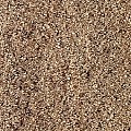 Varistone PZ Easy voegzand Caramel 22,7 kg. (gatorsand) ~