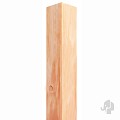 Douglas PEFC paal geschaafd zonder punt 68x68 bc x1800mm ~