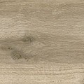 Chivay Oak