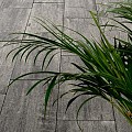 Excellent strak ZF Mont-AnticoNoir 60x60x5 cm. ~