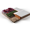 StraightCurve Hardline 220x15 cm. weervast staal (CorTen) (uitlopend 2026) ~
