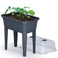 Kweekbak op poten 60 x 75 cm antra ~
