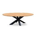 Oblong Dining Table Solid Teak (FSC) Tafelblad Charcoal / Teak (220x130x75 cm) ~