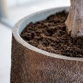 Pottery Pots plantenbak Tarb XL Imperial Brown ø50x90 cm ~