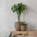 Pottery Pots plantenbak Cody XS Straw Grass (øxh) 17x15 cm. ~