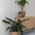 Pottery Pots plantenbak Cody XS Straw Grass (øxh) 17x15 cm. ~