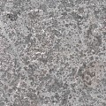 Spotted Bluestone afdekplaat gevlamd & geborsteld 100x20x3 cm. ~
