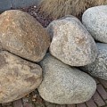Skandikeien 50-X cm. ~