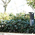 Tuinpaal - pro dubbel met dubbele wartel grijs