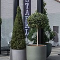 Pottery Pots plantenbak Jumbo Patt XS Black ø73x61 cm ~