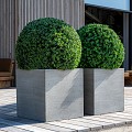 Pottery Pots plantenbak Block M Grey hoogte: 40 diameter: 40 (40x40x40 Grey)~