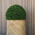 Pottery Pots kunstplant Boxwood XS Green ØxH 40x40 cm. ~