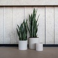 Pottery Pots kunstplant Sansevieria M Green ~