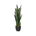 Pottery Pots kunstplant Sansevieria S Green ~