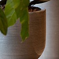 Pottery Pots plantenbak Cody S Dark Grey (horiz. ridg.) (øxh) 28x25 cm. ~