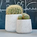 Pottery Pots plantenbak Patt L Grey Washed hoogte: 165 diameter: 20~