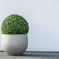 Pottery Pots plantenbak Orb M Grey Washed ø48x43 cm ~