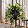 Pottery Pots plantenbak Orb M Black Washed ø48x43 cm ~