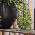 Pottery Pots plantenbak Orb M Black Washed ø48x43 cm ~