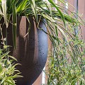 Pottery Pots plantenbak Orb M Black Washed ø48x43 cm ~