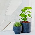 Pottery Pots plantenbak Jumbo Orb L Black hoogte: 114 diameter: 133x133~