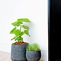 Pottery Pots plantenbak Jumbo Orb L Black hoogte: 114 diameter: 133x133~