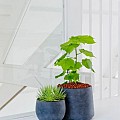 Pottery Pots plantenbak Jumbo Orb L Black hoogte: 114 diameter: 133x133~