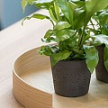 Pottery Pots plantenbak Bucket S Volcano Black (øxh) 50x40 cm. ~