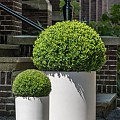Pottery Pots plantenbak Max S Glossy White (øxh) 24x30 cm. ~
