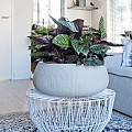 Pottery Pots plantenbak Eileen XL Ridged Cement hoogte: 14 diameter: 36~