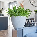 Pottery Pots plantenbak Jesslyn XS Light Grey (vert. ridg) (øxh) 41x35 cm. ~