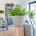 Pottery Pots plantenbak Jesslyn XS Light Grey (vert. ridg) (øxh) 41x35 cm. ~