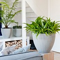 Pottery Pots plantenbak Jesslyn XS Light Grey (vert. ridg) (øxh) 41x35 cm. ~