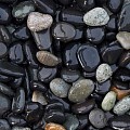 Beach Pebbles zwart (Castle Black) 16-25 mm. - 1 m³ BigBag á 1800 kg. ~