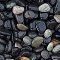 Beach Pebbles zwart (Castle Black) 16-25 mm. - 0,7 m³ BigBag á 1250 kg. ~