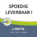 Betontegel GeoStradale 2Drive 60x60x6 cm. Bari ~