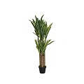 Pottery Pots kunstplant Dracena M Green H=145 cm.