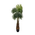 Pottery Pots plantenbak Palm tree M Green ~