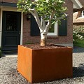CorTen bloembak (LxBxH) 200x200x80 cm. (2 mm.) ~