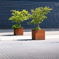 CorTen bloembak met wielen (LxBxH) 120x120x60 cm. (2 mm.) ~