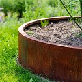 Ronde CorTen bloembak zonder bodem (ØxH) Ø200x60 cm. (2 mm.) ~