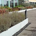 Stalen kantopsluiting (verzinkt) met geplette rand 230x7 cm. (2 mm.) ~