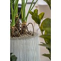 Pottery Pots plantenbak Harith High S White stripe (øxh) 40x48 cm. ~