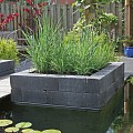 Patioblok getrommeld antraciet 30x15x15 cm. ~
