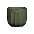 Arcus Sage Green