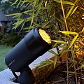 LightPro - Castor Honeycomb ~